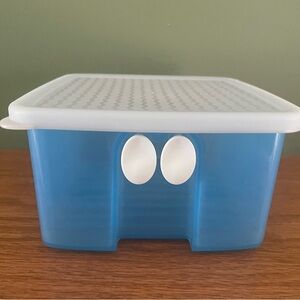 Tupperware Blue and White Food Storage Container